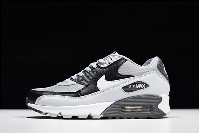 Nike Air Max 90 Essential - 537384-083